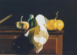 Still Life with courgettes