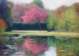 Primavera a Dublino
