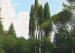 Parco