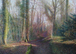 Bosco scozzese